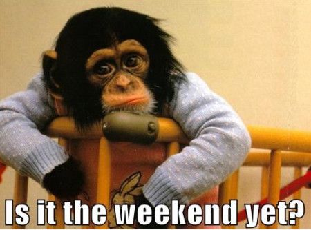 Top Tip Of The&nbsp;Week