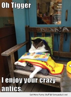 funny-cat-reading-tigger-book-pics