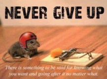 never-give-up-little-guy-300x222