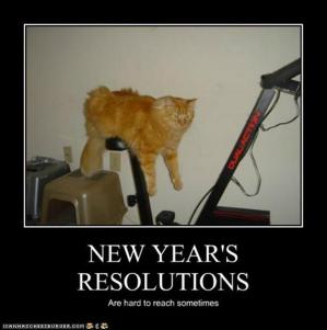 Funny-new-years-resolutions-demotivational-posters