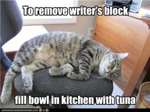 funny-pictures-to-remove-writers-block