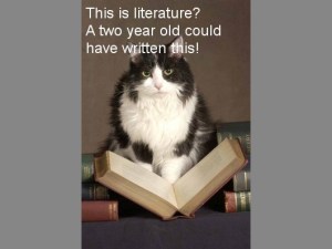 literaturecat11