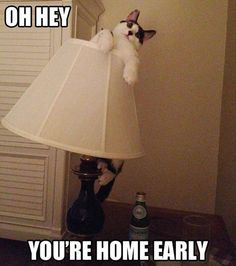 84ac9a192c5db93a930111fb28229dd5