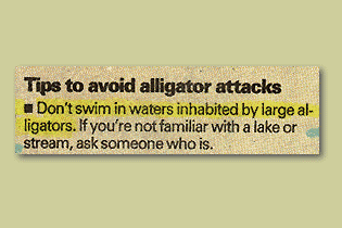 alligators