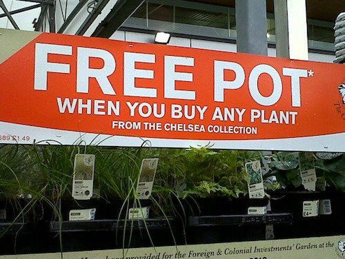 Free pot
